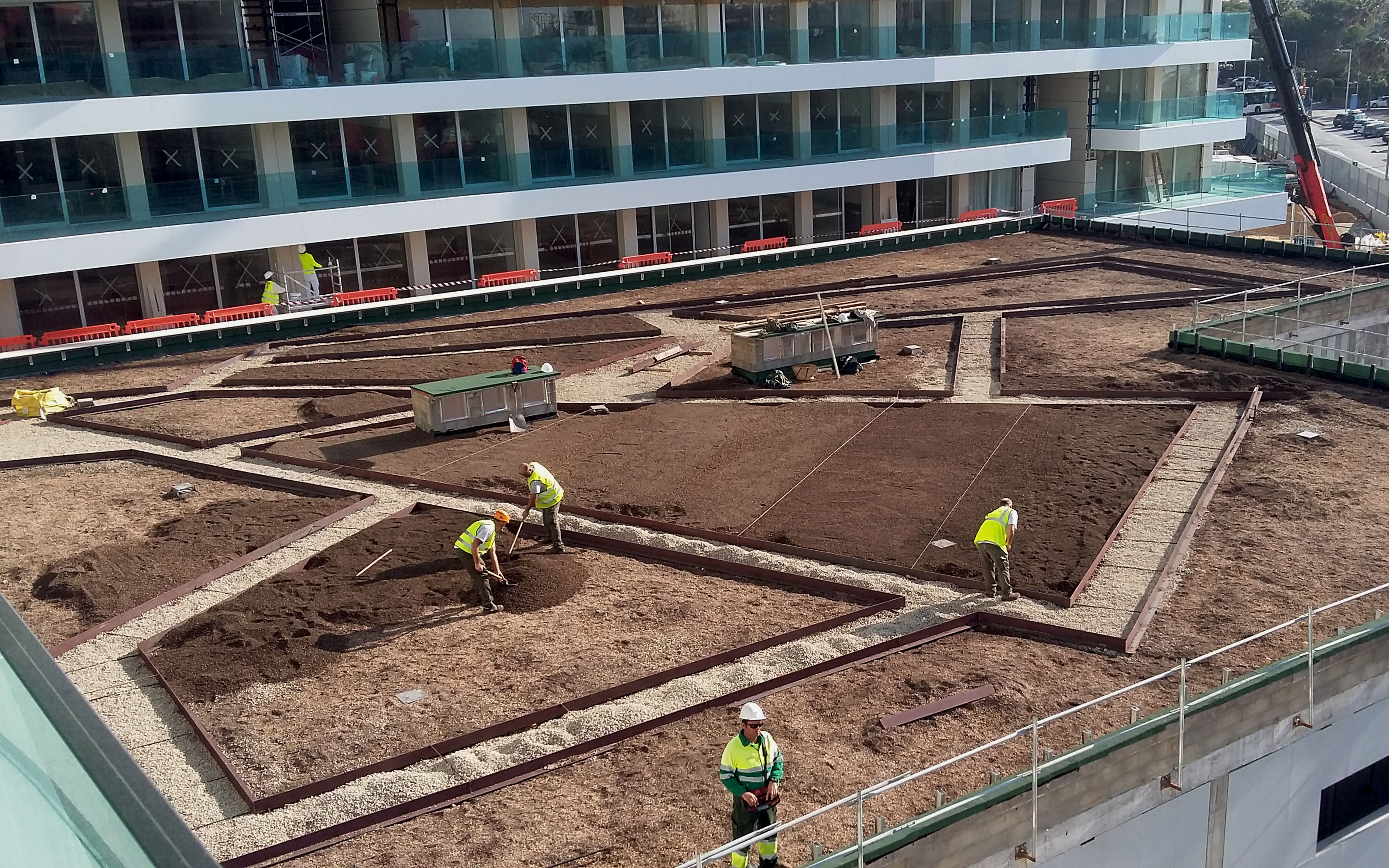 Green roof during installation